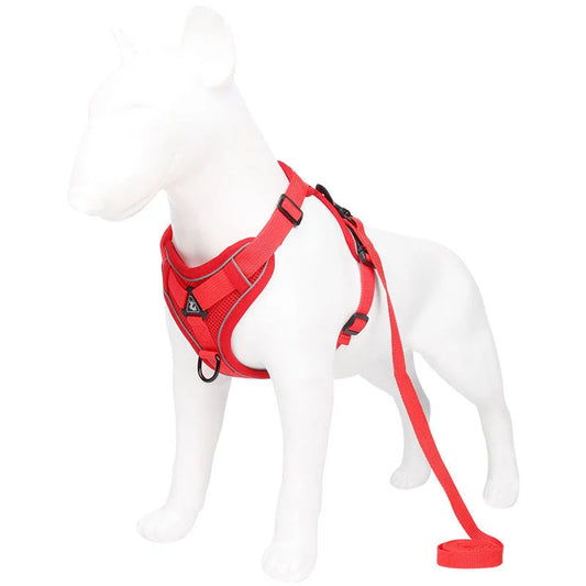 Red Reflective Mesh Dog Harness and Leash Set - Adjustable