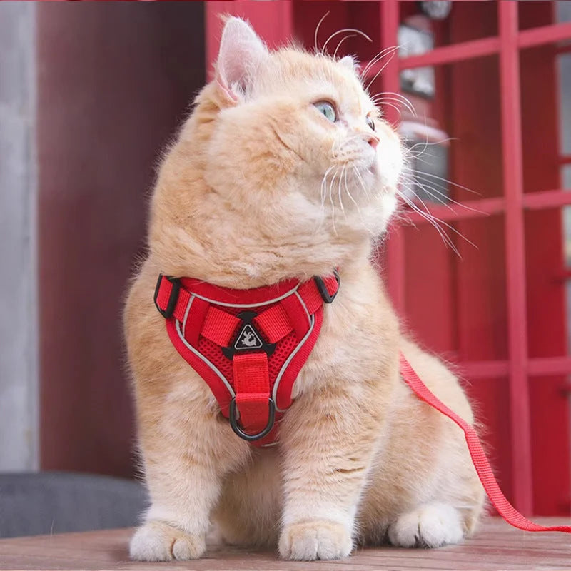 Red Reflective Mesh Dog Harness and Leash Set - Adjustable