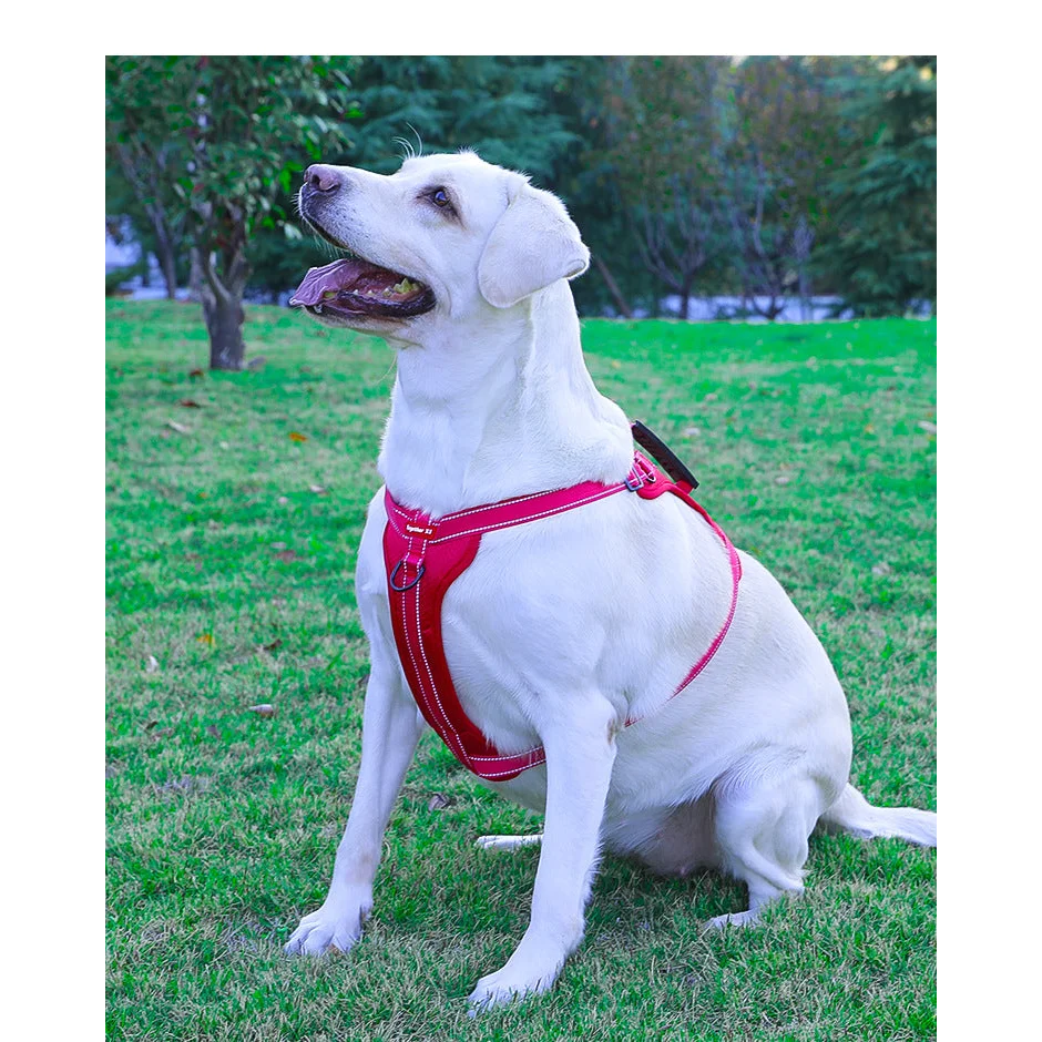 Reflective Dog Harness with Leash No-Pull Vest Harness