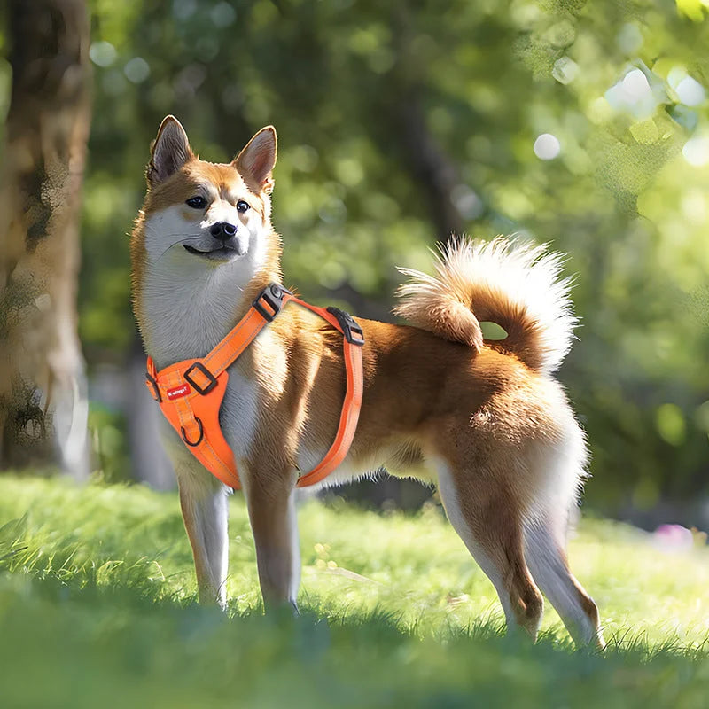 Reflective Dog Harness with Leash No-Pull Vest Harness