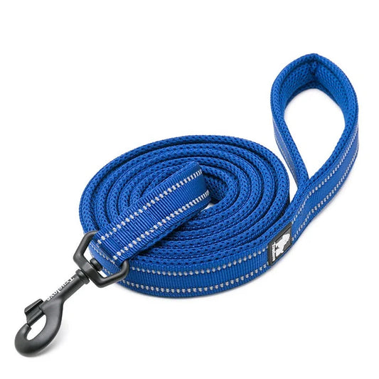 Reflective Pet Leash 2M - Royal Blue (XS)
