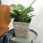 Resin Plant Flower Pot 27cm Sand Grey Square in Cement Pattern Planter Cachepot for Indoor Home Office