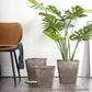 Resin Plant Flower Pot 27cm Sand Grey Square in Cement Pattern Planter Cachepot for Indoor Home Office
