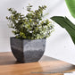 Resin Plant Flower Pot 32cm Weathered Grey Square in Cement Pattern Planter Cachepot for Indoor Home Office