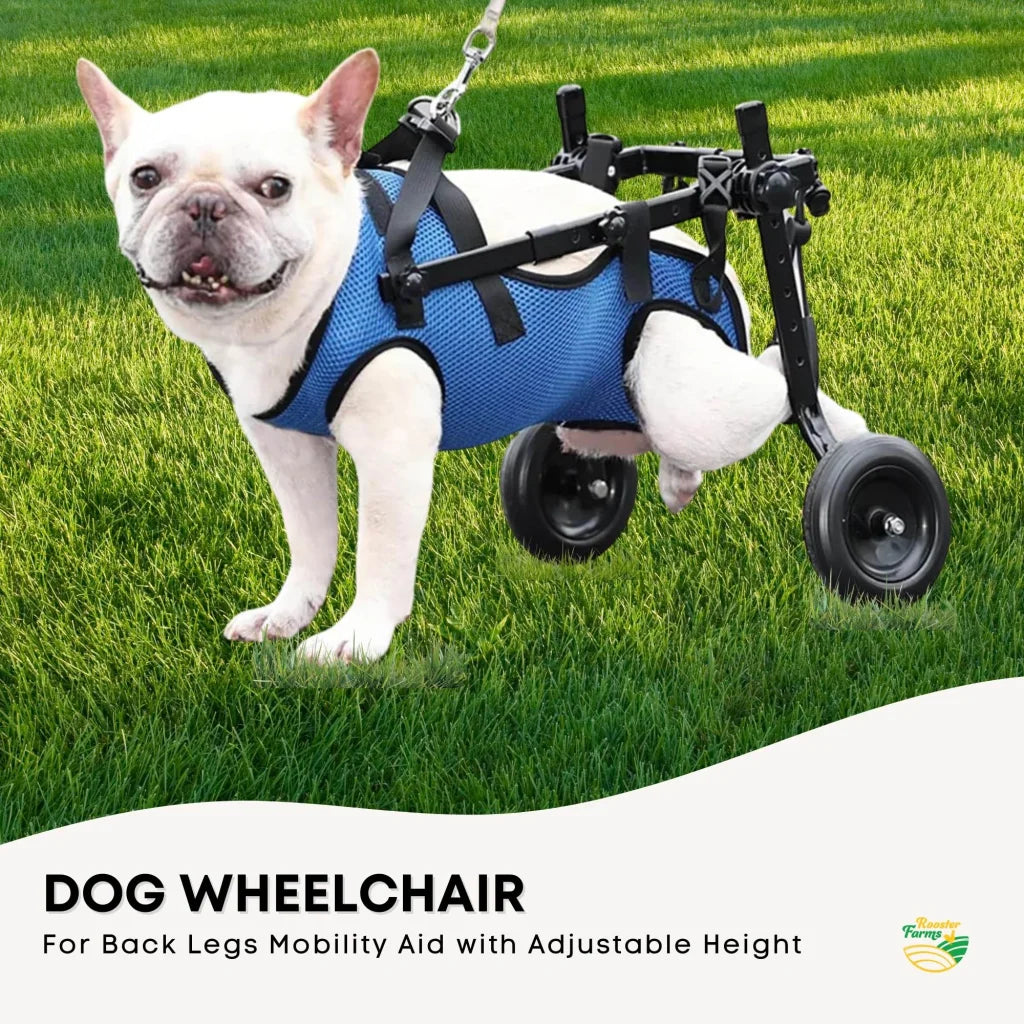Rooster Farms Little Dog Wheelchair Small Harness