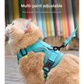 Rose Red Reflective Mesh Dog Harness and Leash Set
