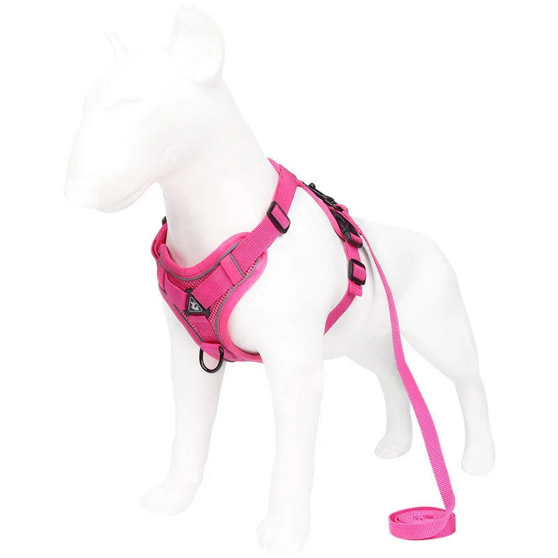 Rose Red Reflective Mesh Dog Harness and Leash Set