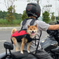 S Black Multifunctional Pet Backpack with Adjustable Straps