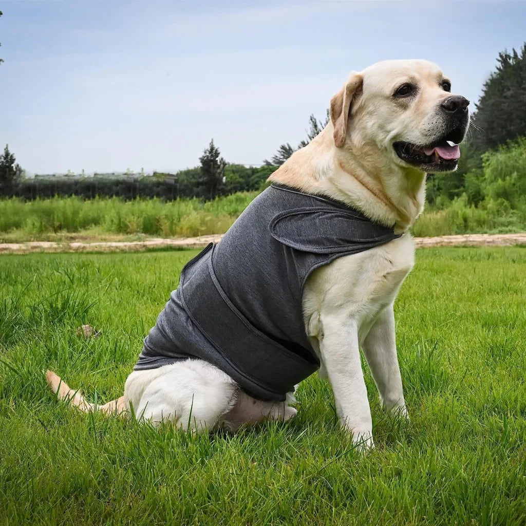 S Dog Vest Jacket - Warm Soft and Comfortable Dog Coat