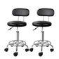 Salon Stool Swivel Backrest Chair Barber Hairdressing Hydraulic