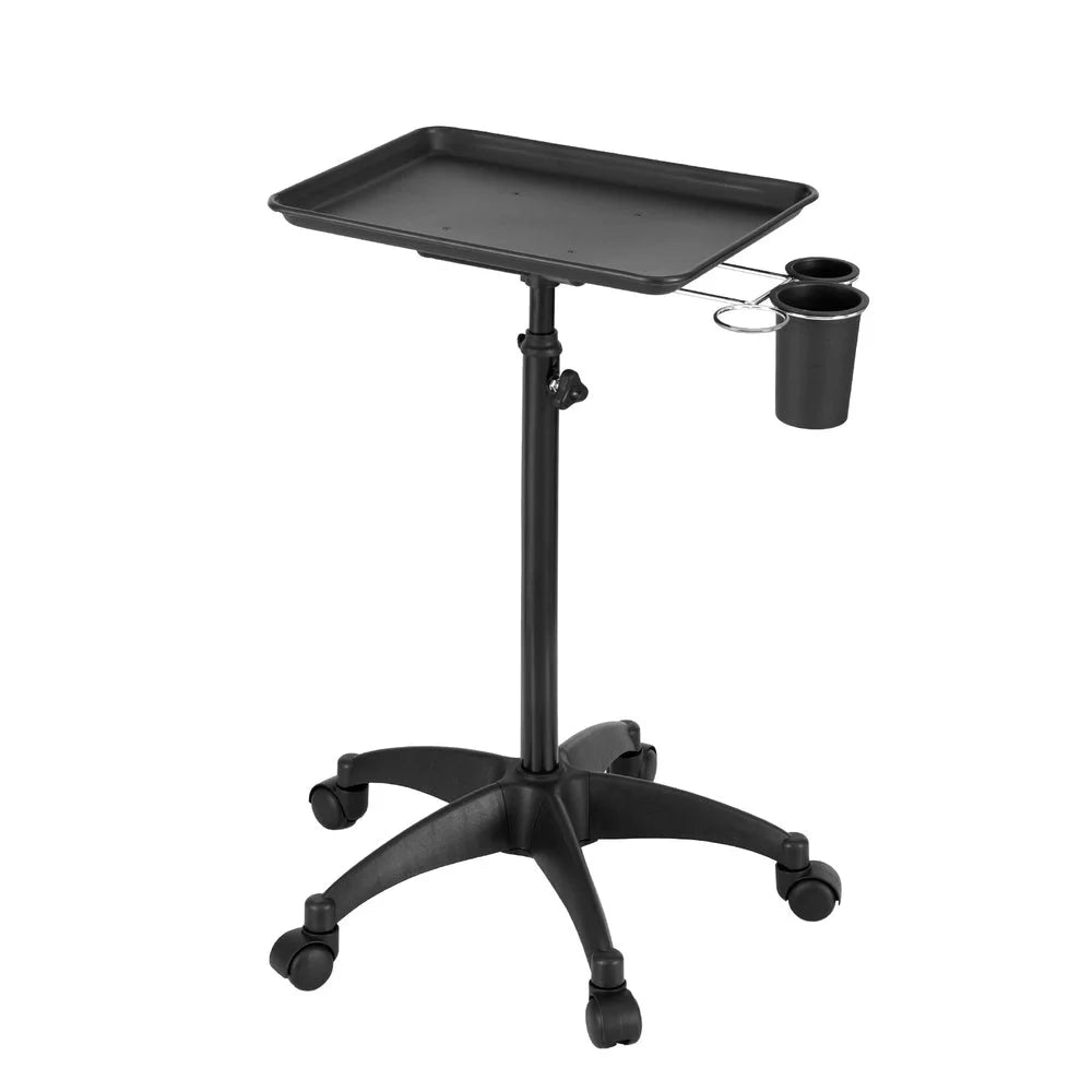 Salon Trolley Cart Spa Beauty Rolling Tray Hairdressing