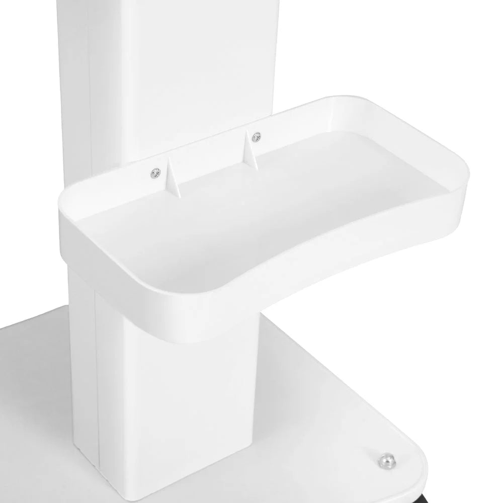 Salon Trolley Cart Spa Beauty Rolling Tray Hairdressing