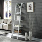 Sarantino Amelia 5-Tier Ladder Shelf in White - Furniture >