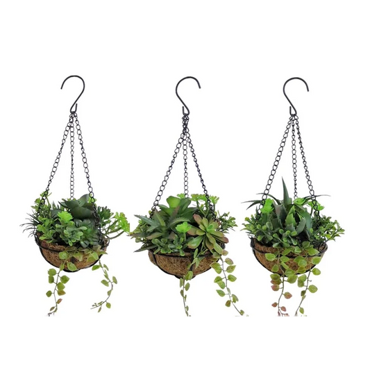 Set 3 Artificial Hanging Succulents 38cm - Home & Garden >