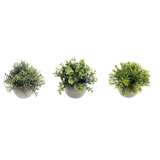 Set 3 Artificial Plant in Cement Pot Assort 18cm - Home &