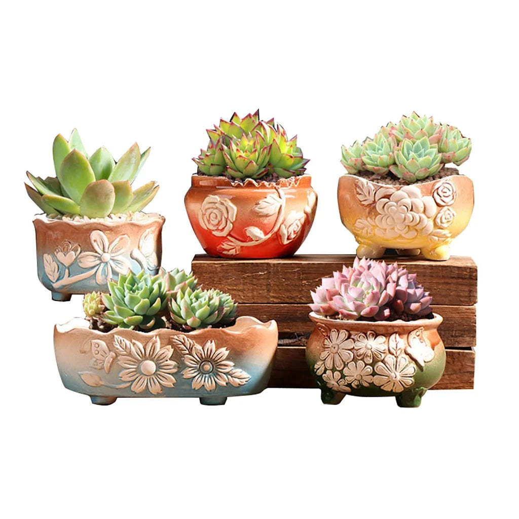 Set of 5 Succulent Plant Pots Flower Patterned