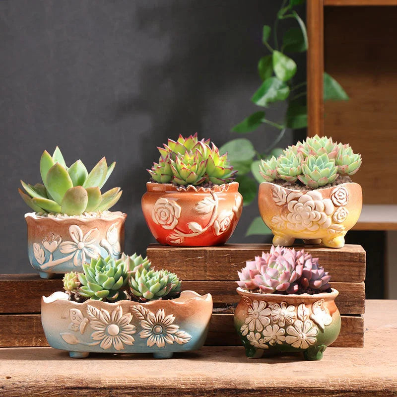 Set of 5 Succulent Plant Pots Flower Patterned