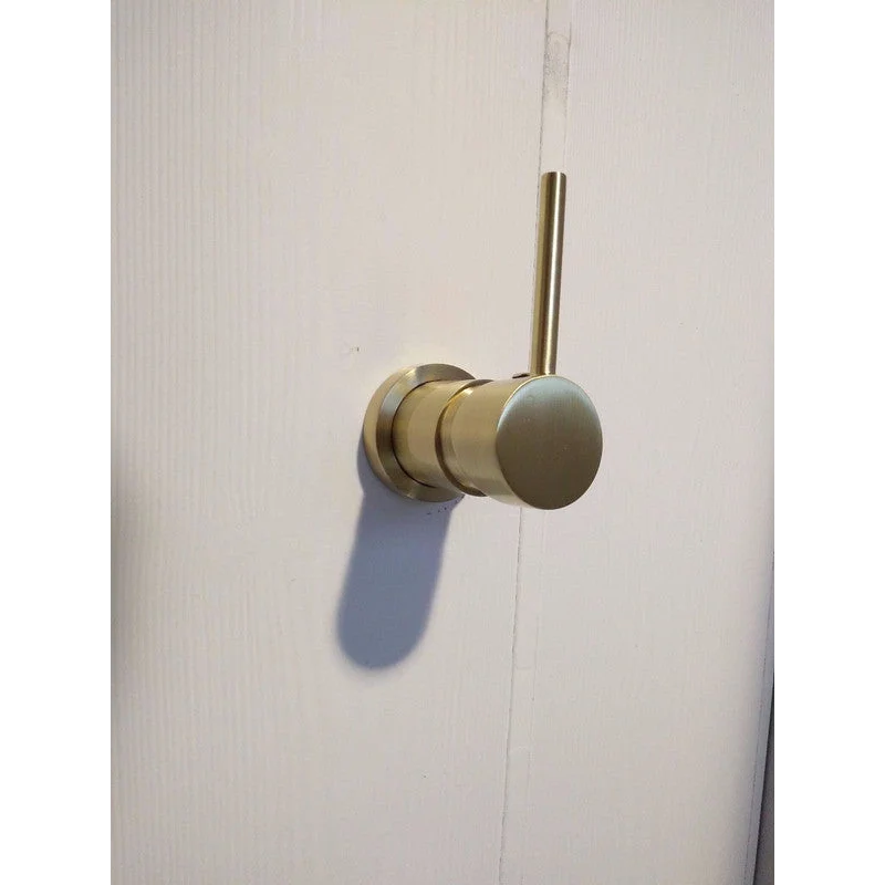 Shower Head 2021 Brass Burnished Gold Round Hand Held