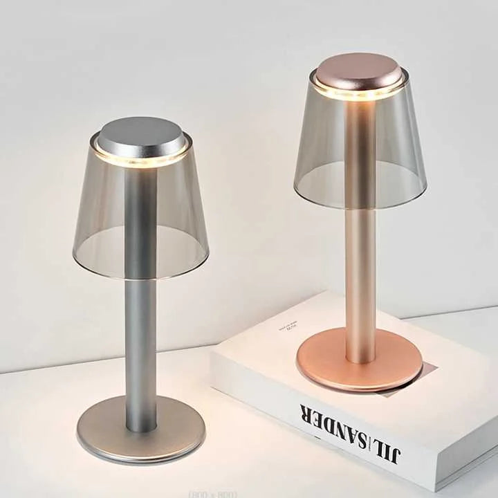 Silver Stylish Transparent Desk Lamp with Touch Control LED