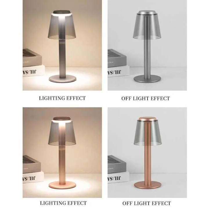 Silver Stylish Transparent Desk Lamp with Touch Control LED