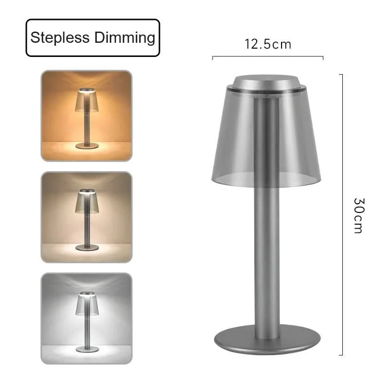 Silver Stylish Transparent Desk Lamp with Touch Control LED