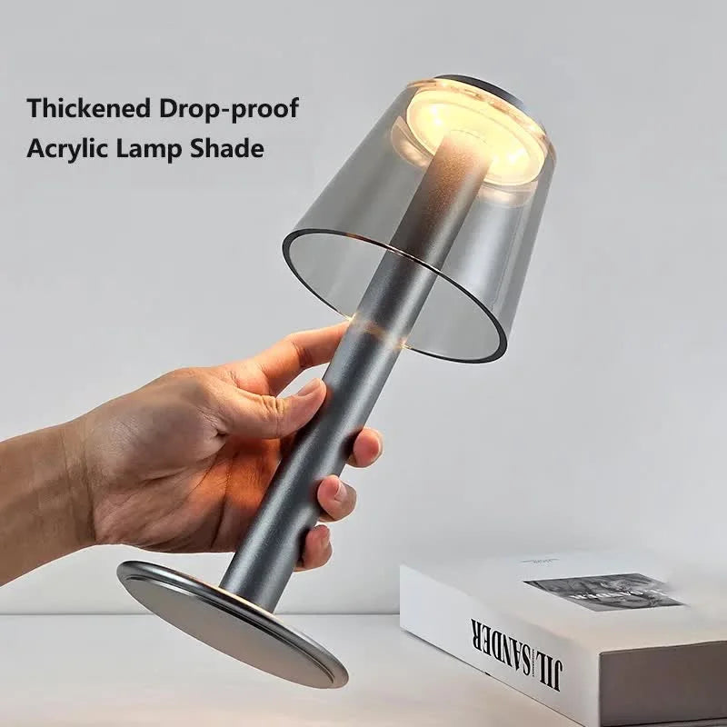 Silver Stylish Transparent Desk Lamp with Touch Control LED