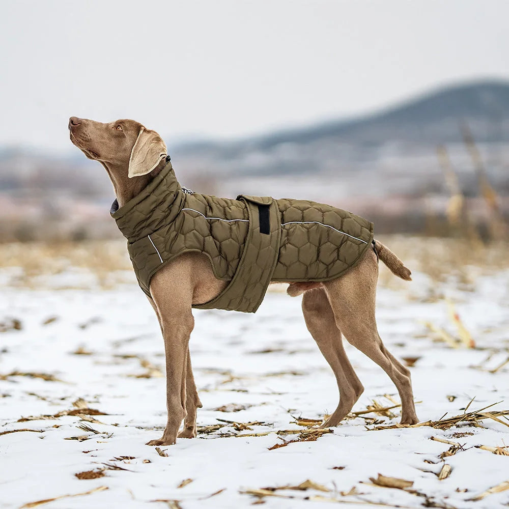 Size M Olive Green Warm Quilted Dog Winter Coat