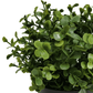 Small Potted Artificial Buxus Plant UV Resistant 20cm