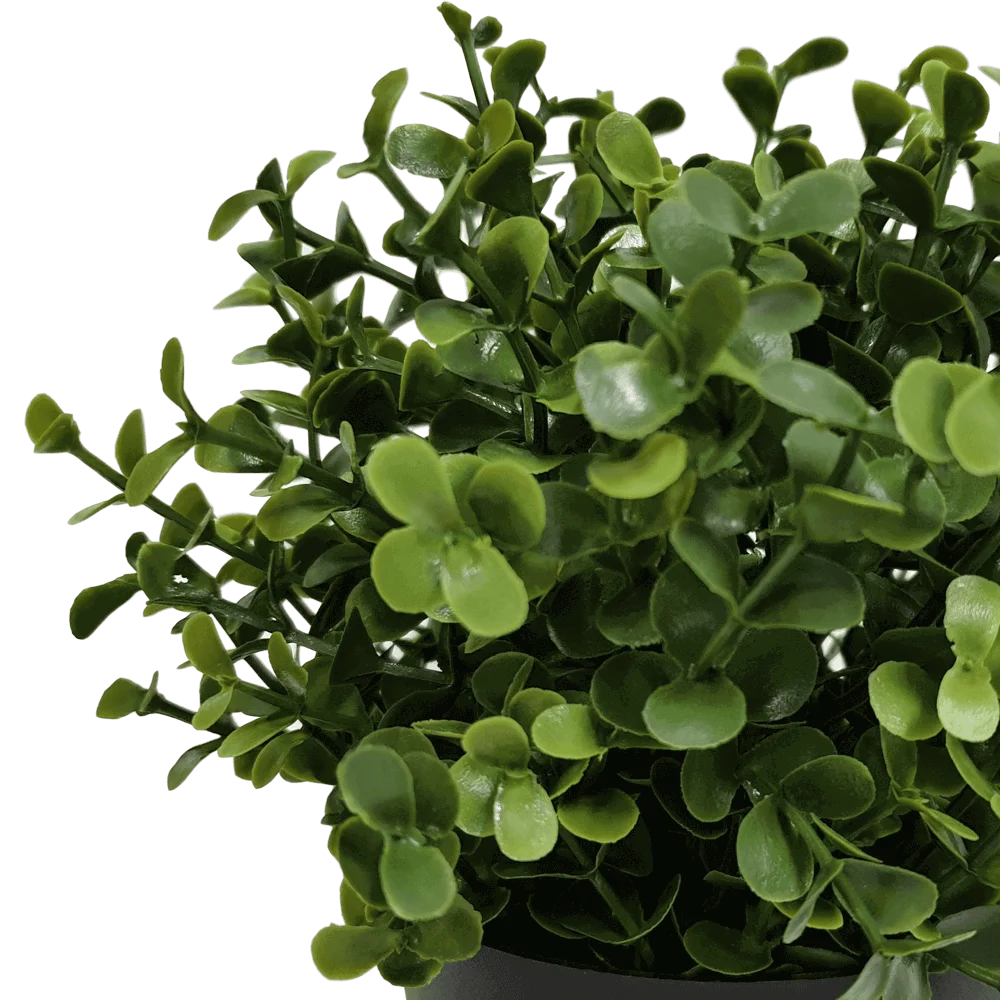 Small Potted Artificial Buxus Plant UV Resistant 20cm