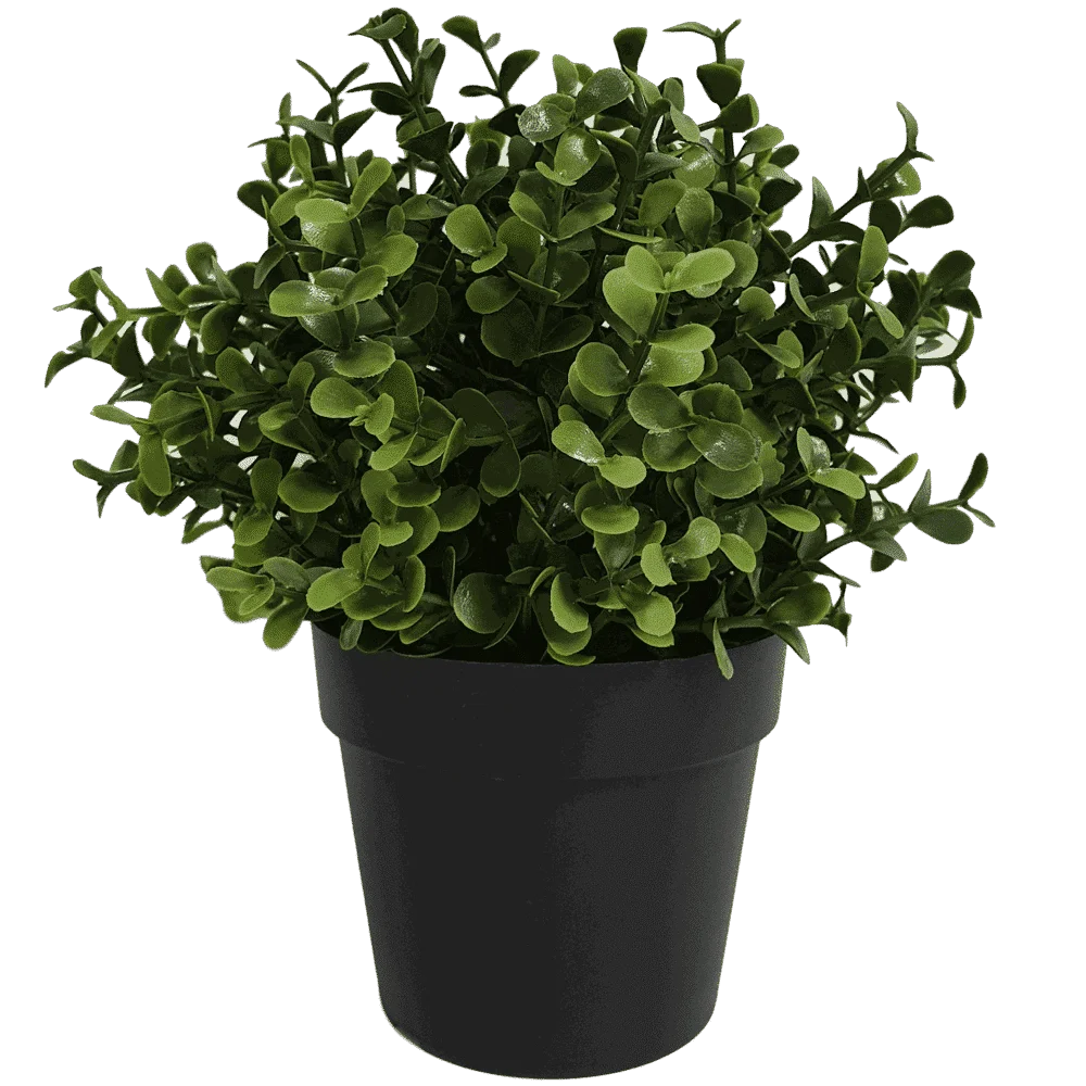 Small Potted Artificial Buxus Plant UV Resistant 20cm