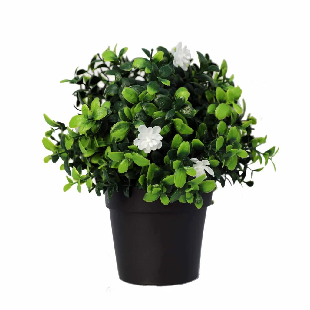 Small Potted Artificial Flowering Boxwood Plant UV