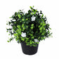 Small Potted Artificial Flowering Boxwood Plant UV