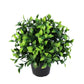 Small Potted Jasmine Plant UV Resistant 20cm - Artificial