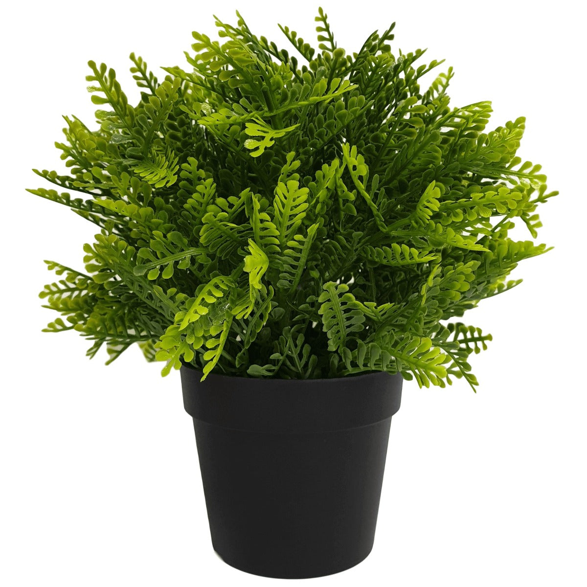 Small Potted Mimosa Fern UV Resistant 20cm