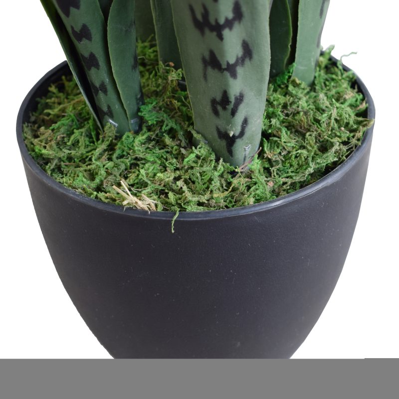 Snake Plant UV Resistant 60cm