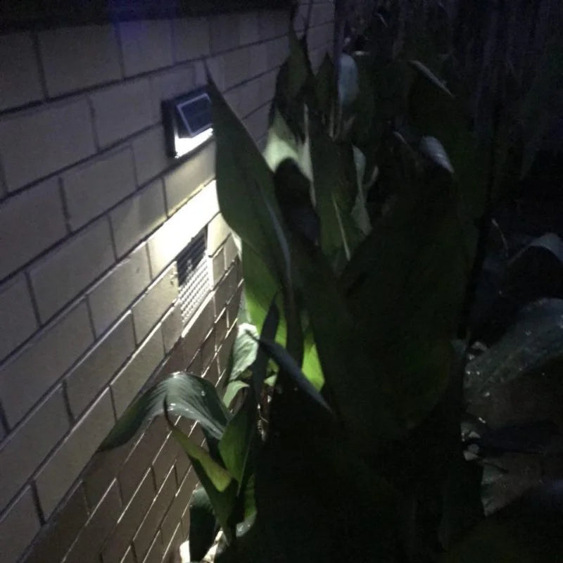 Solar Step Lights - Home & Garden