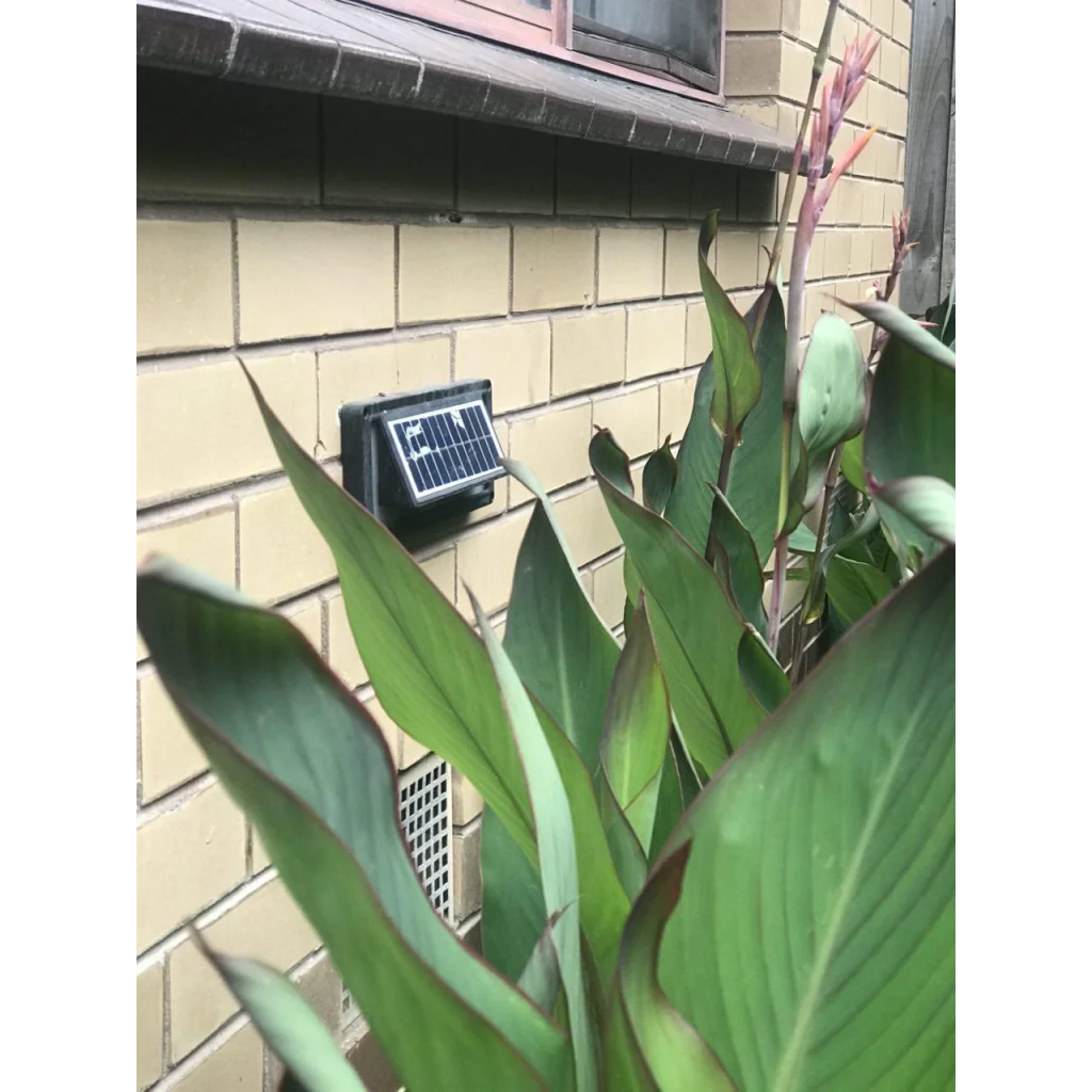 Solar Step Lights - Home & Garden