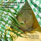 Solid Wood Pet Tent Nest Removable Mattress - Outdoor