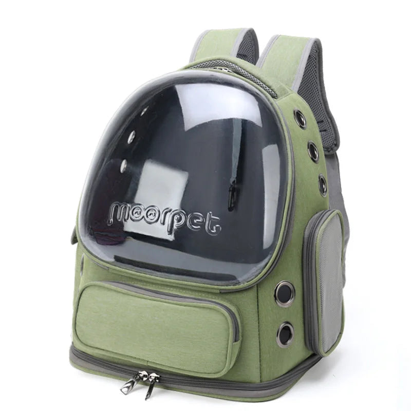 Spacious Pet Carrier with Ventilation System &