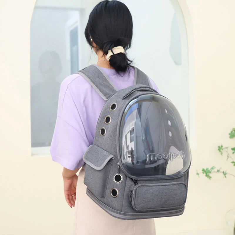 Spacious Pet Carrier with Ventilation System &
