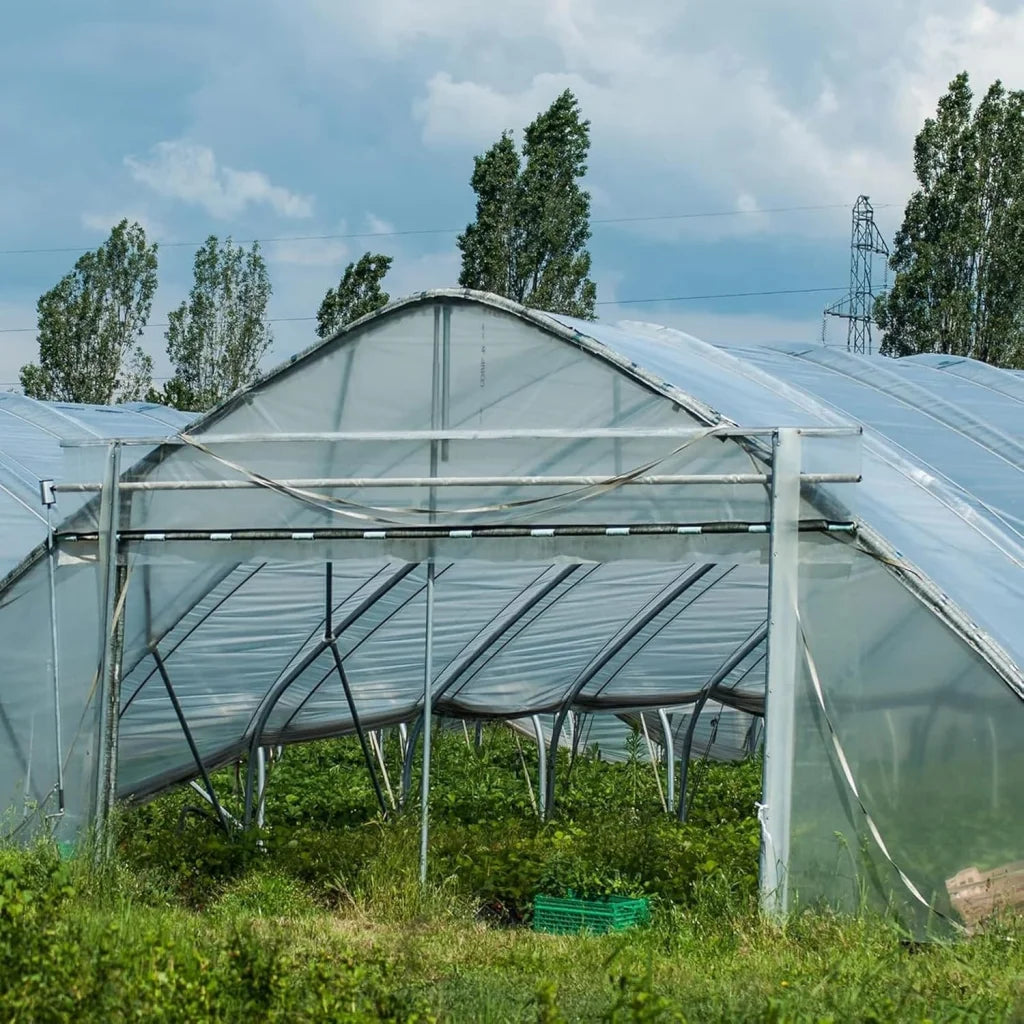 (Special Offer) 2x6m Polyethylene Greenhouse Film