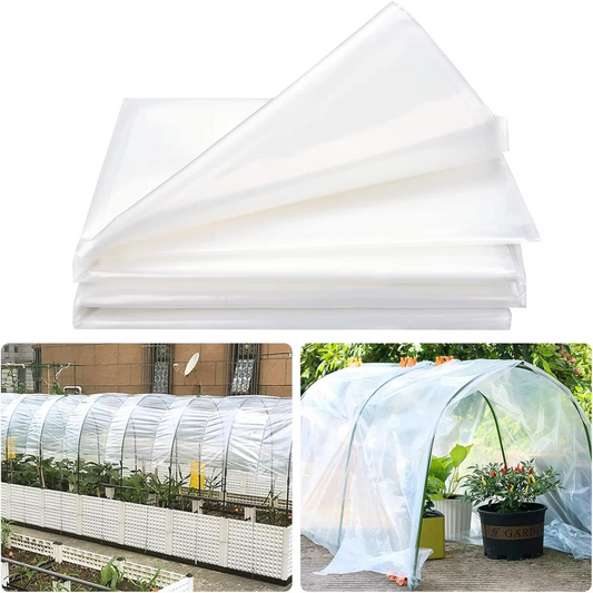 (Special Offer) 2x6m Polyethylene Greenhouse Film