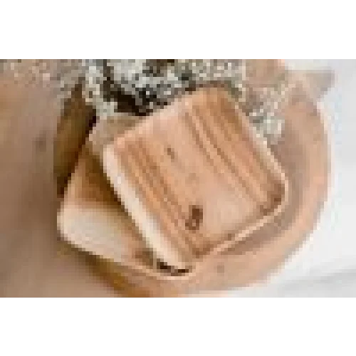 Square Dinner Plate Set of 2
