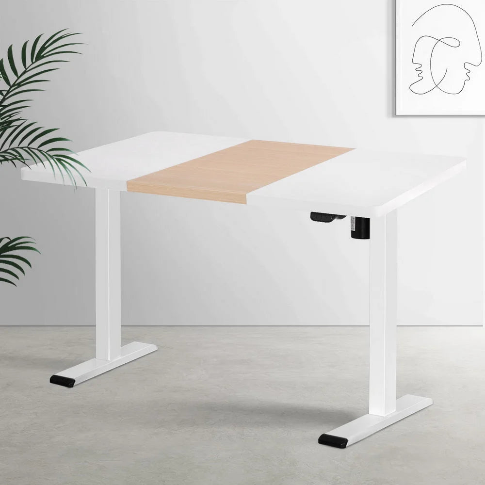 Standing Desk Motorized Sit Stand 120CM