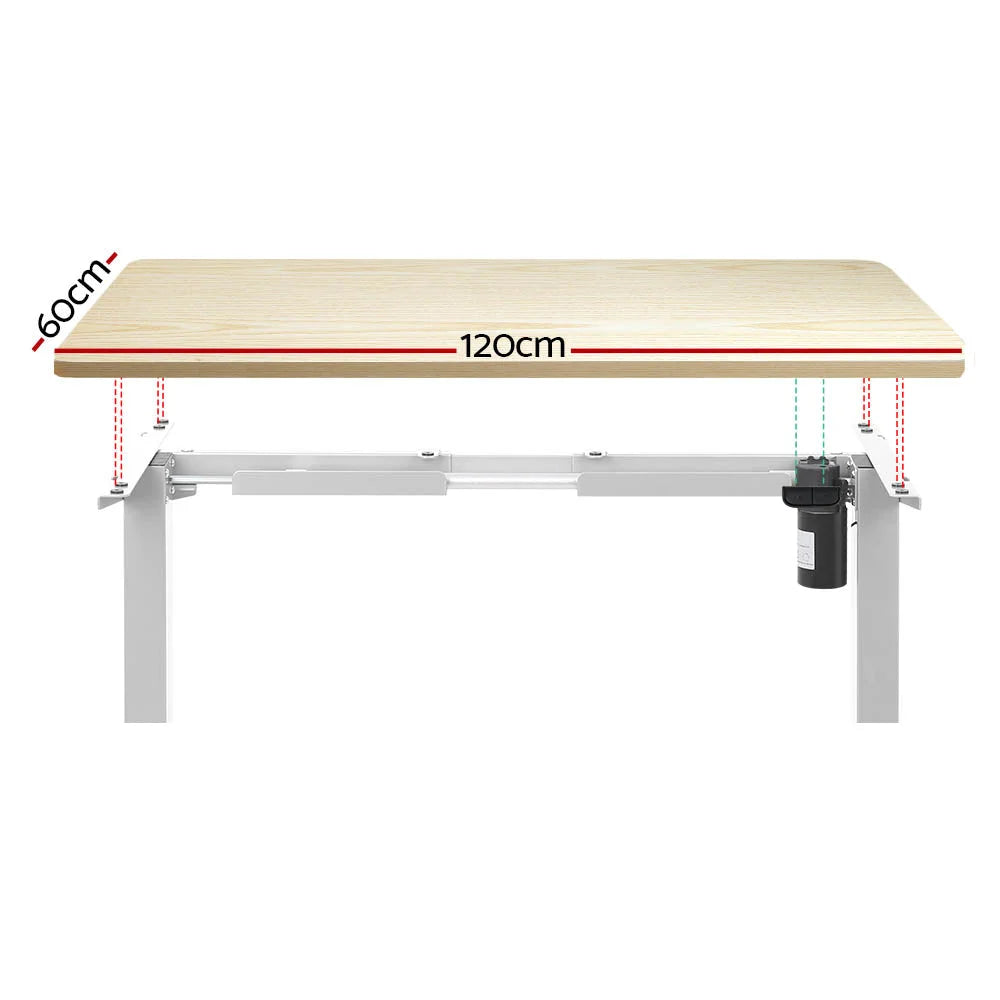 Standing Desk Motorized Sit Stand White Oak 120CM 288