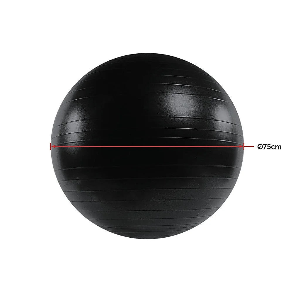 Static Strength Exercise Stability Ball 75cm with Pump