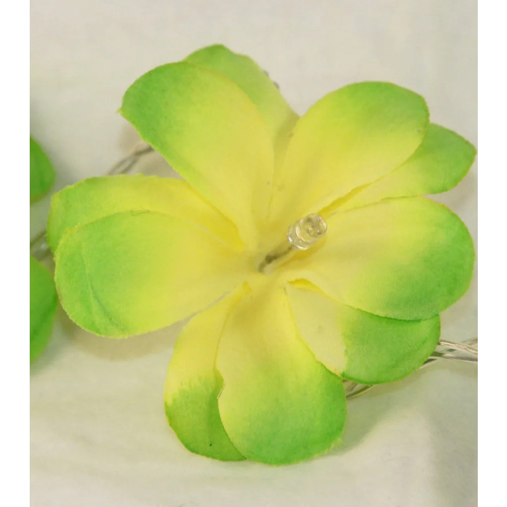 String Lights 20 LED Green Frangipani Flower Battery