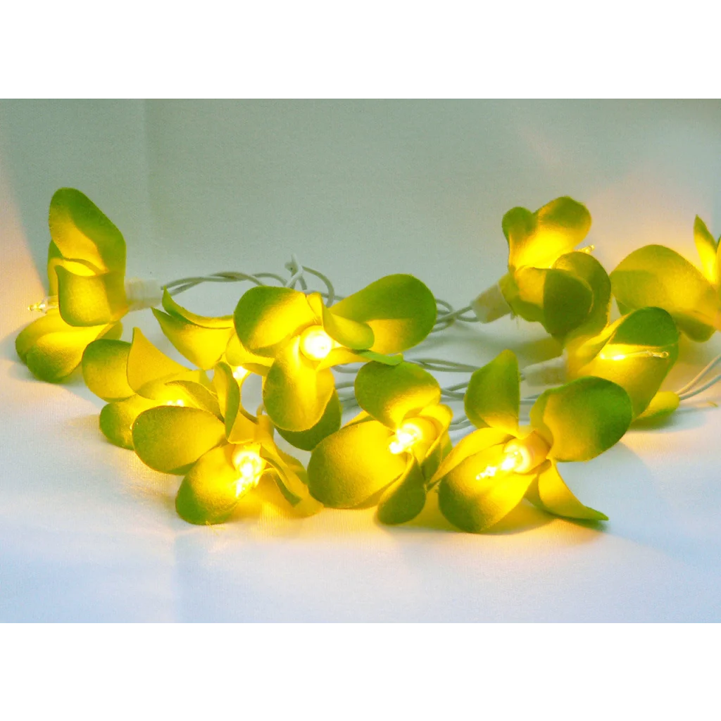 String Lights 20 LED Green Frangipani Flower Battery