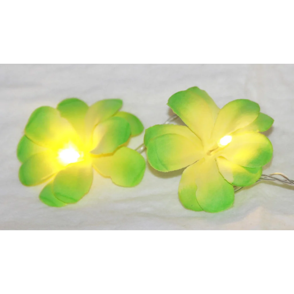 String Lights 20 LED Green Frangipani Flower Battery