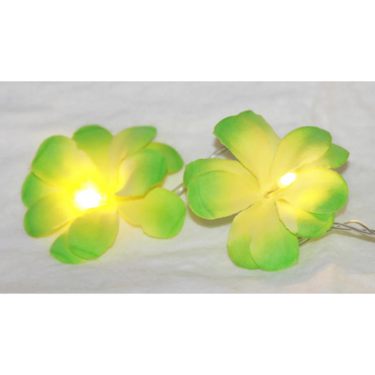 String Lights 20 LED Green Frangipani Flower Battery